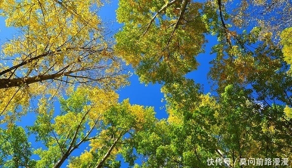 巨蟹座|巨蟹座：强烈的依赖性，假高冷，真卑微，背后总是偷偷抹眼泪