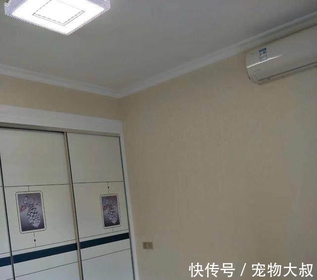 地砖|3个月硬装结束,地砖做完美缝就很上档次,我觉得背景墙最漂亮