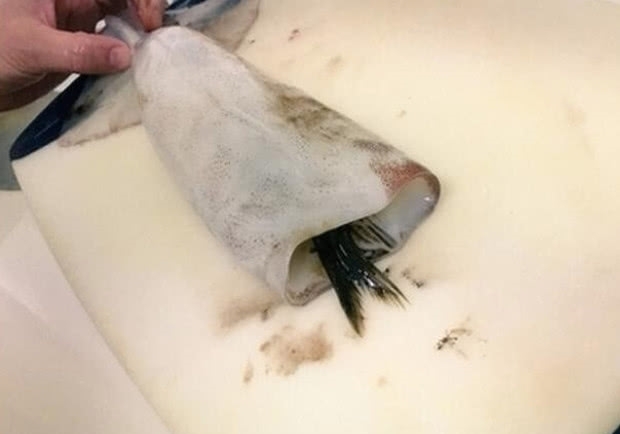 回家|女子买鱿鱼回家,清理时发现问题,人与人之间的信任呢??