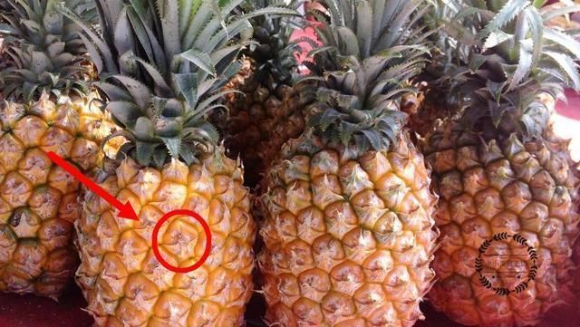 尽量少|买菠萝时,这5种尽量少买,难吃还浪费钱,水果商自己都不吃