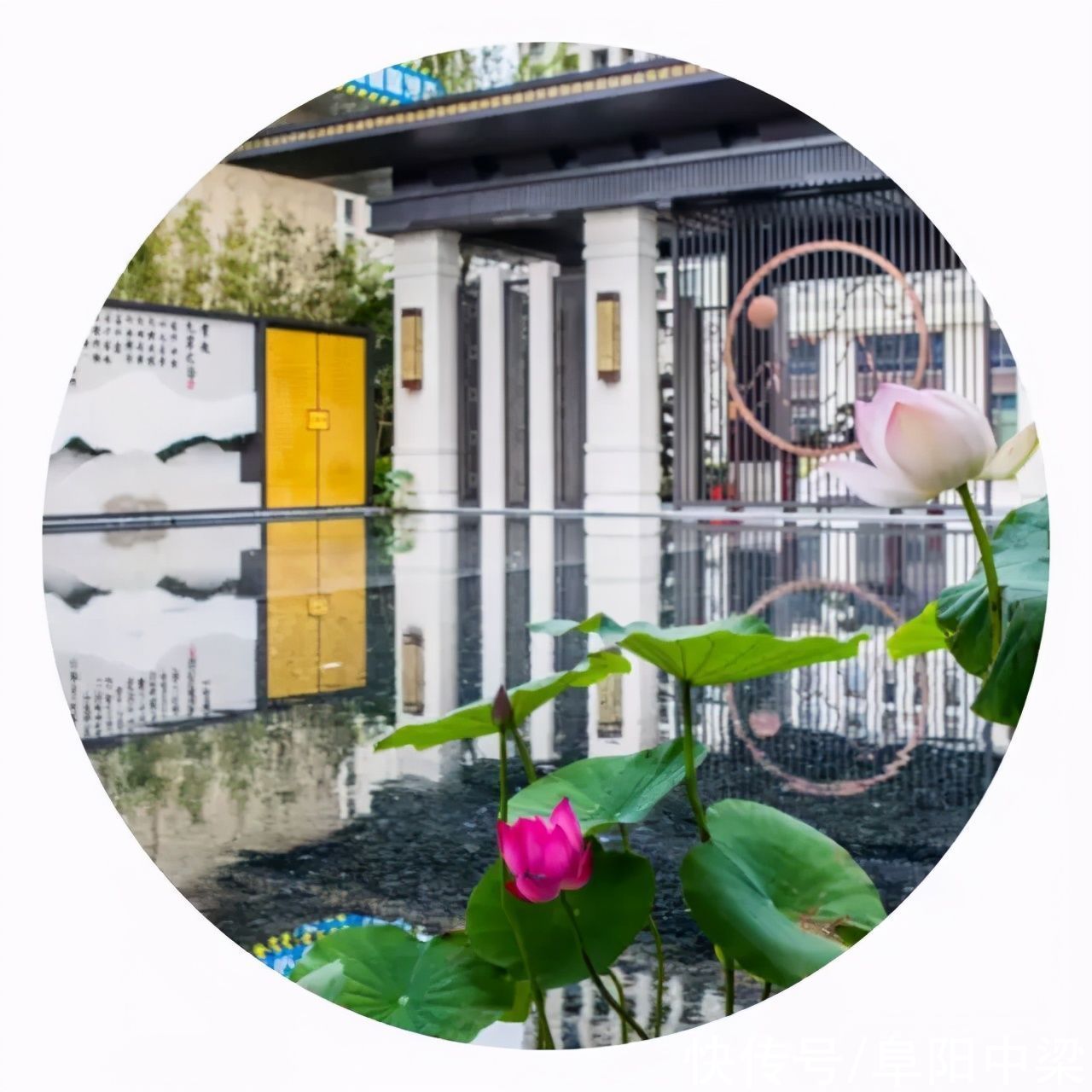 阜阳中梁 当颜色遇上中梁 感受别样的诗情画意|中梁地产 | 颜色