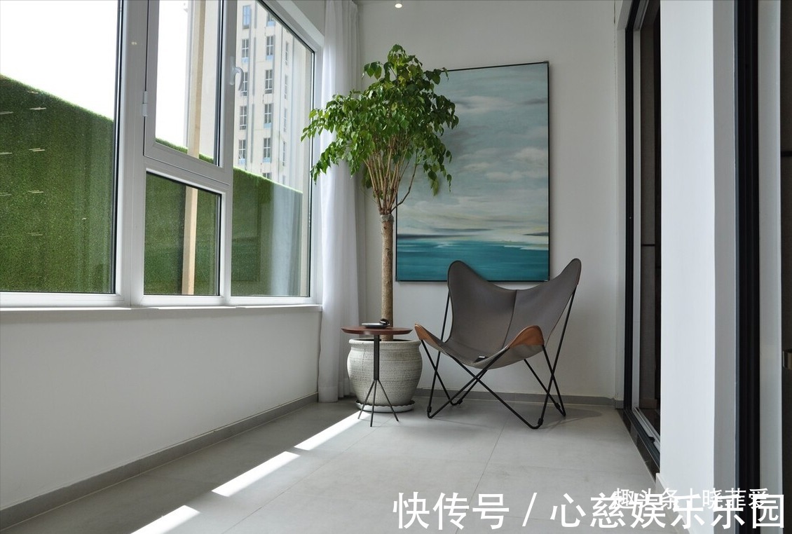 客厅养花不宜多!12种“吉祥花”任选一种,寓意好“养人”还旺家