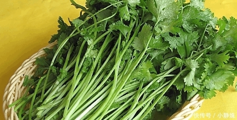 配料|香菜不是想吃就能吃的,身上有这4个特点的人,尽量不要碰它