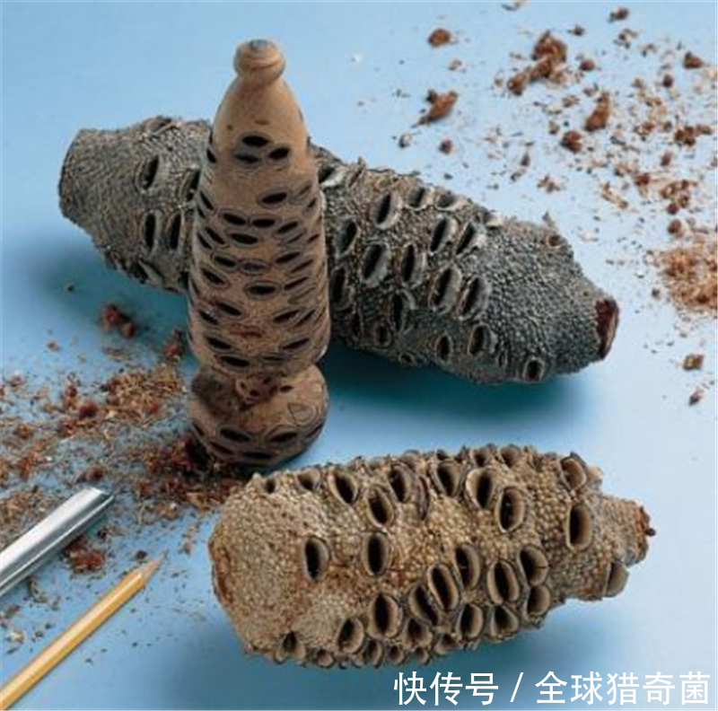 用人工|网络有多恐怖？不管问什么，万能的网友都能解答！
