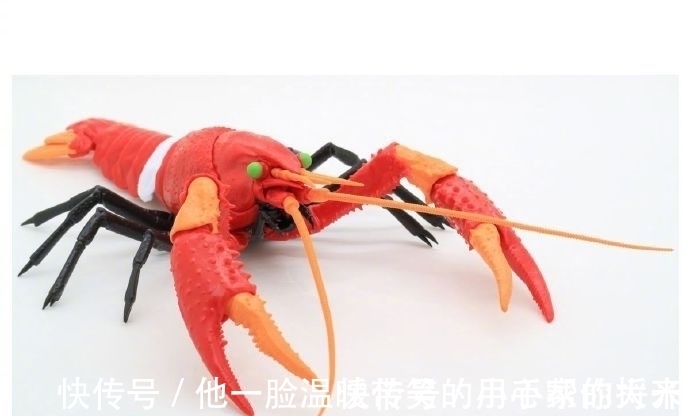 模型|奇葩拼装模型,EVA初号机、二号机小龙虾拼装模型