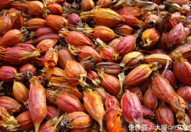 禁忌|金樱子药用功效介绍,4个药用方法和服药禁忌,李药师为你详解
