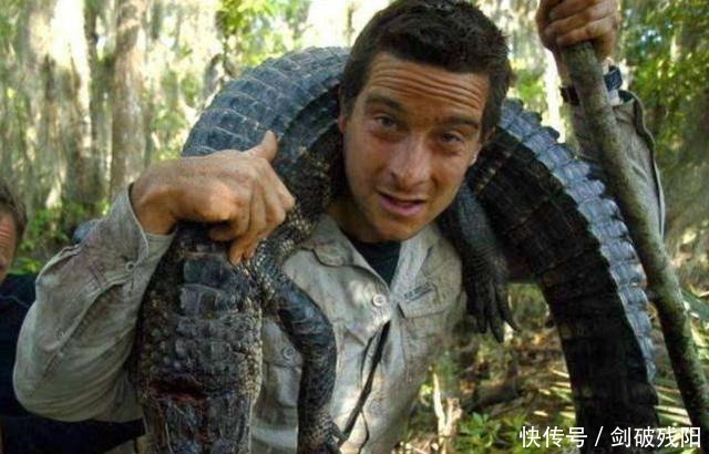 蛇虫鼠蚁 盘点《荒野求生》里的错误示范,贝爷这样做没事,你这么干就完了