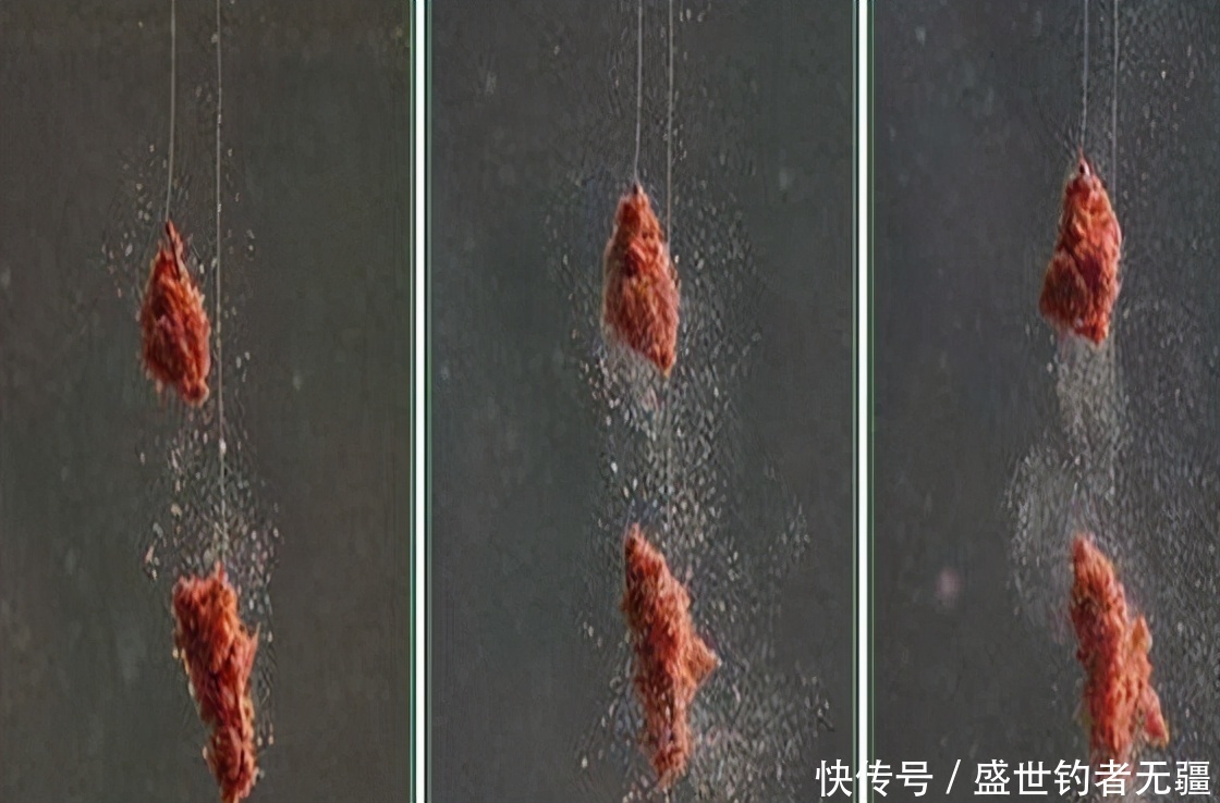 钓鱼这么久,搓饵不重视这3点,难怪不上鱼!——盛世三渔