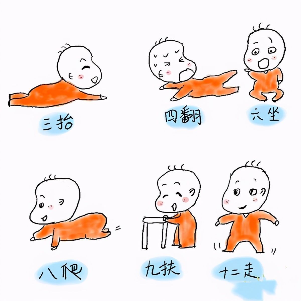 发育|你家宝宝发育“达标了”么,用1分钟自测下,做个明白父母