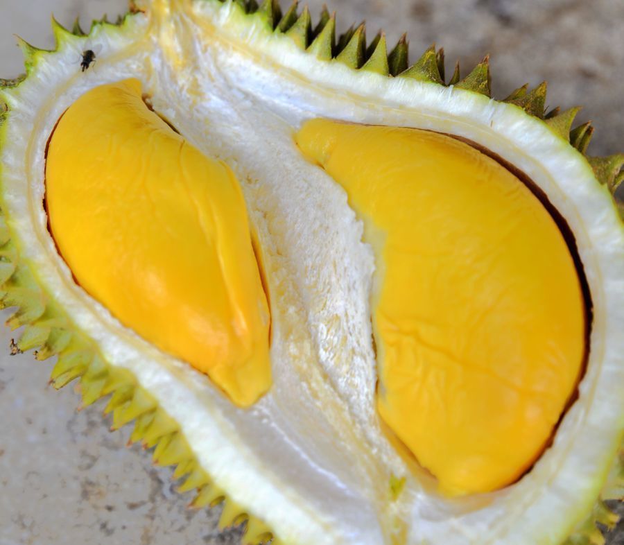 妇科疾病|有妇科炎症的女人,六种食物每天吃吃,消炎杀菌,妇科病走远