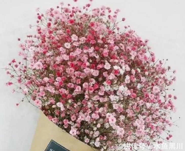 楼璹|六首“早安”诗词:风动影动心不动,独自沉香待花开