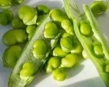 中薪|這種豆類正當季，高蛋白低脂肪，健腦又營養！