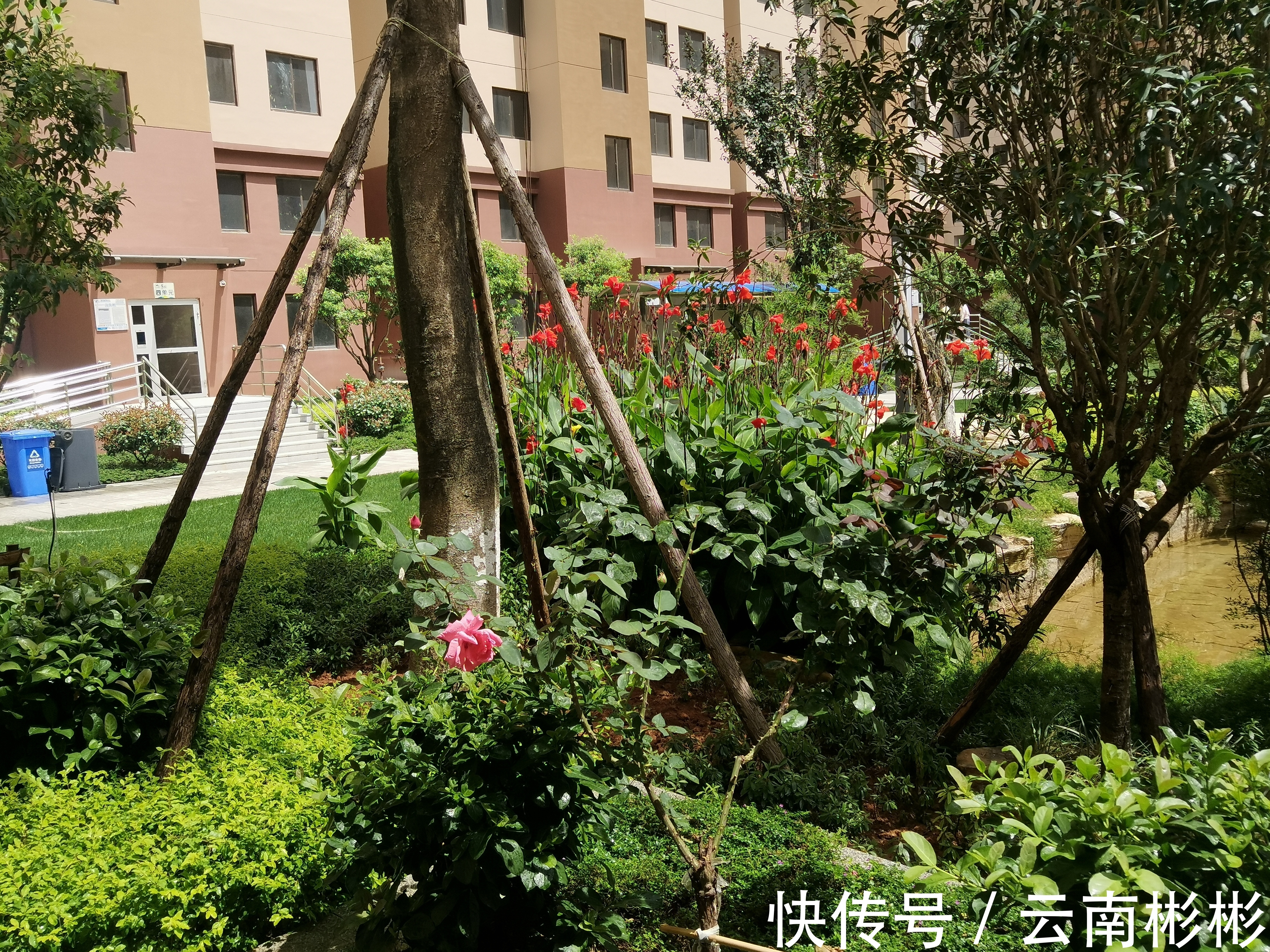 云南|30万到云南石林买两居室,平时父母住,自己还有一个次卧