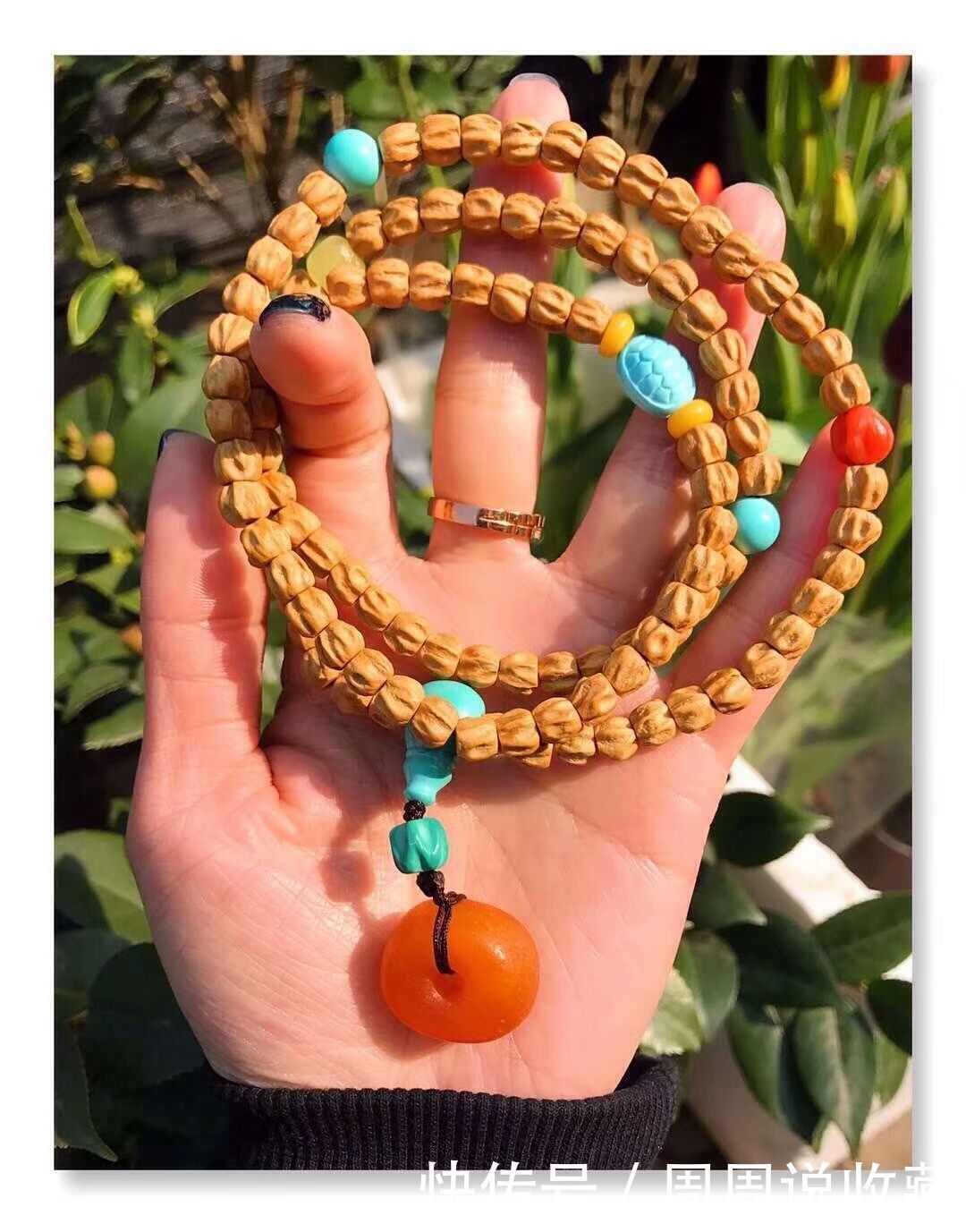  真的|被老板们神话的，热振寺百香籽真的那么好吗？