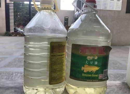 怎么合理使用这几样“水”浇花，实现去其糟粕？