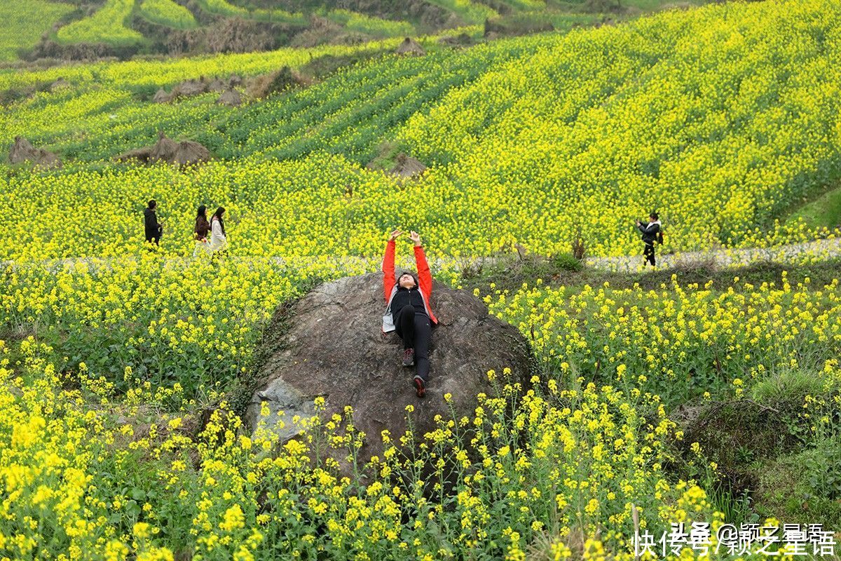 千年梯田花海，美得震撼，免费欣赏