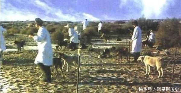 中国|陈老总曾说当了裤子也要造出原子弹,那最后到底花了多少钱