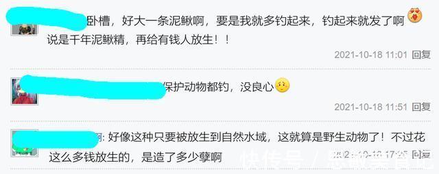 十几斤大泥鳅?广州小伙珠江边钓鱼,碰到有人放生“大型水族”