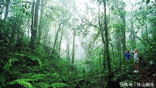 湿气|脾有“三怕”,要远离它们,常做三事,有助健脾