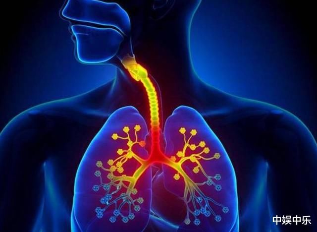 肺不好的人，盡量多食用這4種食物，大家可以嘗試喝1茶