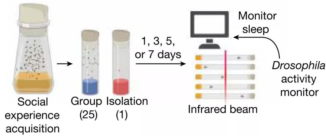 老年人|最新心理研究告诉你：孤独时，你会吃更多；放松是浪费时间吗？你错了！人际暴力是最严重的创伤……