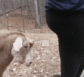 |搞笑GIF:连甩鱼竿都不会,我来教你!