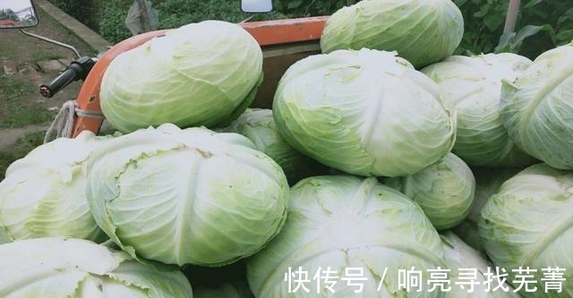 根部|去菜市场买菜时，这4种包菜尽量别买，仔细看看就知道差点上当了！