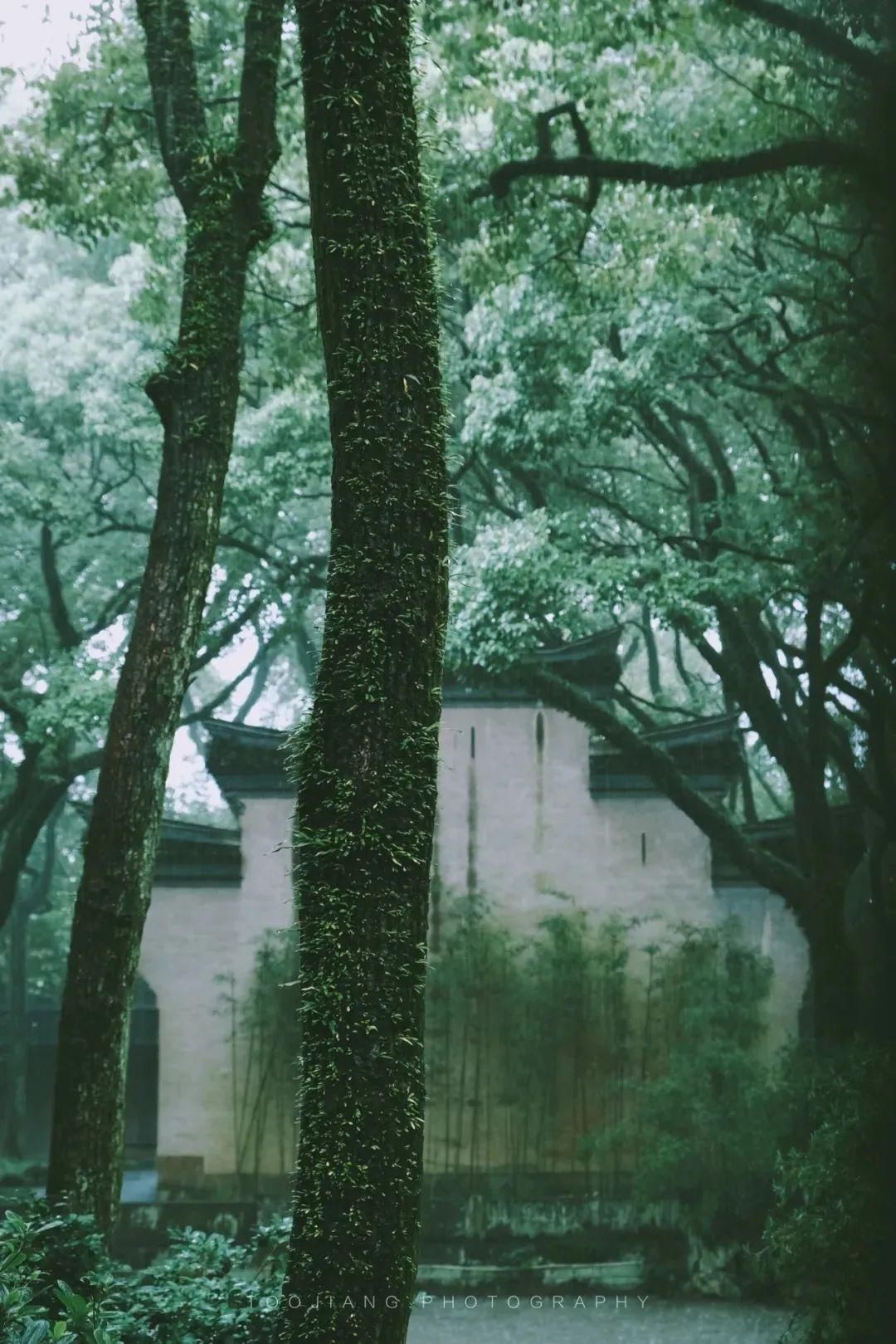 天青色等烟雨，宁波美到你！