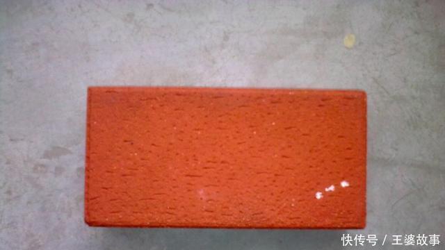 营养土还在花钱买几种东西“掺一点”,土壤“肥得流油”!