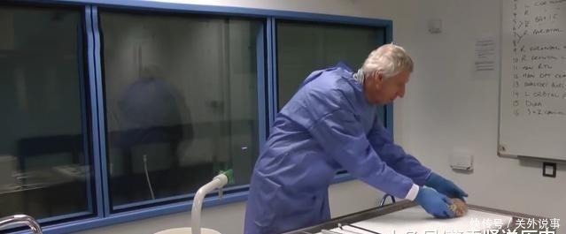 标本|做手术切下来的肉,到底去了哪里?说出来吓得你冷汗直流!