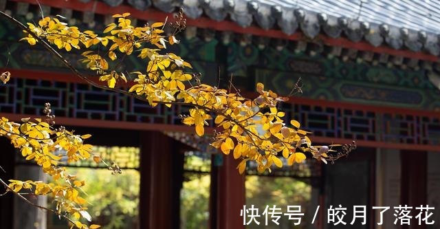 银耳|立秋后，经常吃银耳可以轻松改善便秘！