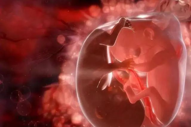 胎动|胎儿在孕妈肚子里抖动是怎么回事可不是你以为的胎动,别弄错了