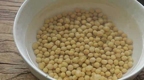 【草丁图书馆】黄豆加上这2样“泡泡”浇花,可让植物根壮叶绿枝茂