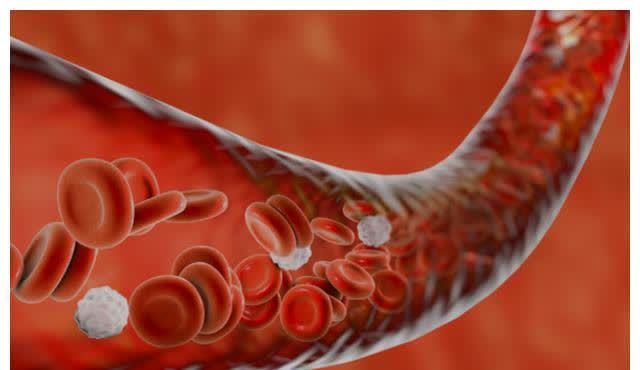 豆制品|血脂高的人不能吃面条?提醒:若想血脂平稳,建议少吃3种素食