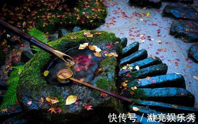 护栏|一楼带小院是福还是祸?看看这几点你就知道啦