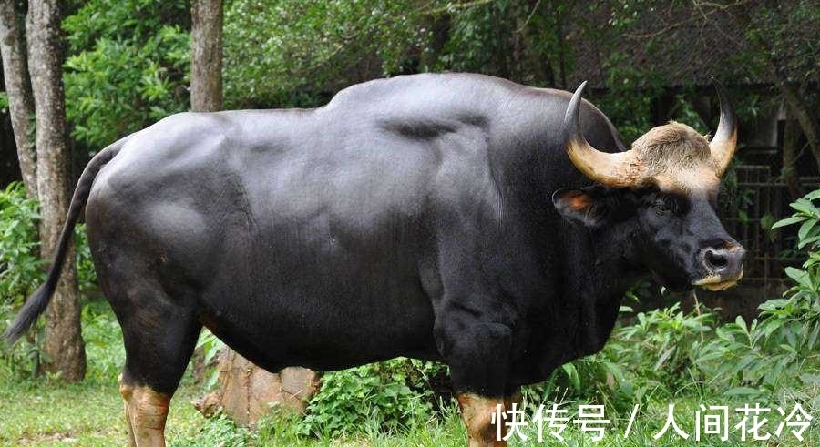 东涛|趣味冷知识分享，快来一起看看吧！