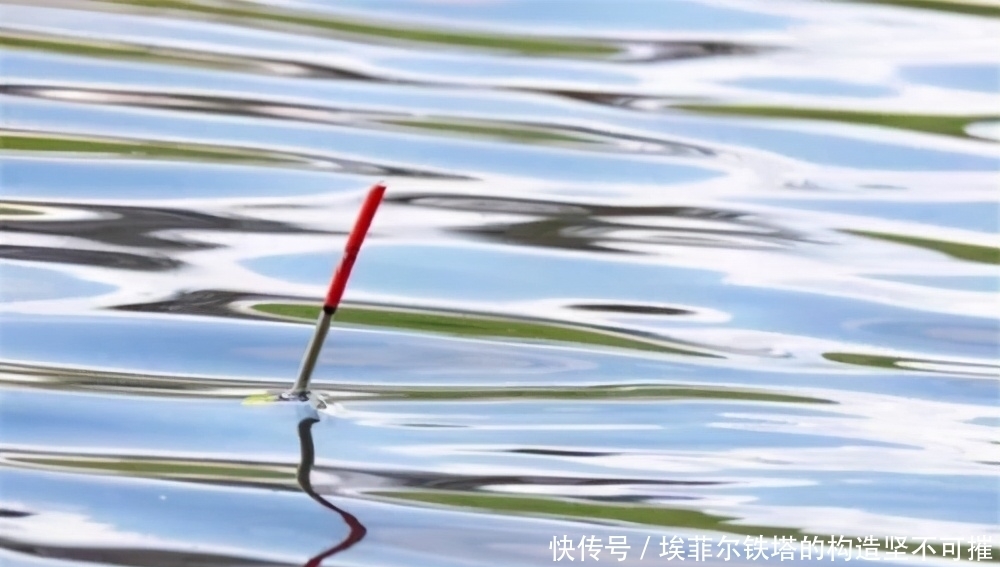 鱼口杂乱无实口,调低钓高这么调,马上竿竿都是死口