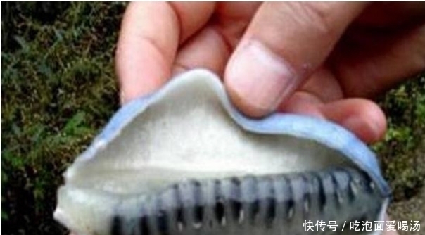 世界上最销魂的4种水果,第1种很多人没见过,第4种不忍直视