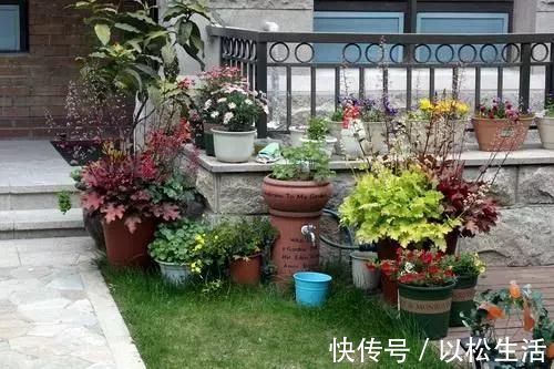 亲戚|我买下带院子的一楼,被亲戚骂脑子进水,装修好后他们都闭嘴了!