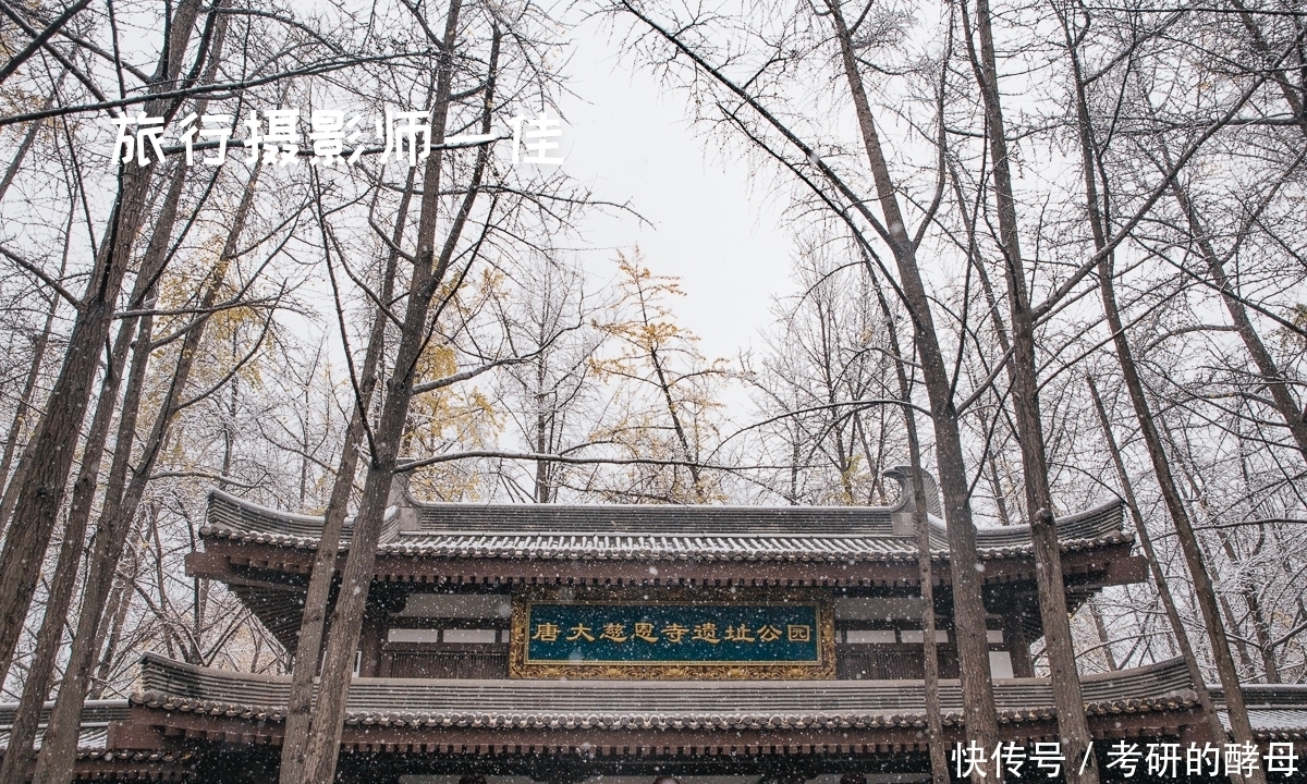 西安这座公园,与客流量几十万的景区一街之隔,却几乎没有游客