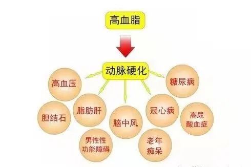 食用油量|注意点！别太“油”了！