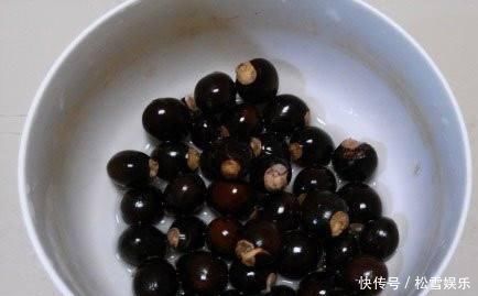 果子|两种水果,吃完籽儿留下,撒盆里,一年长成小盆栽,果子结满了