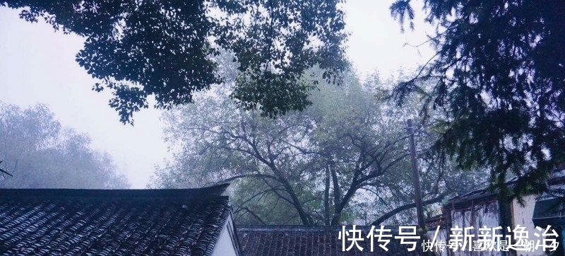 诗情画意|杜牧这首诗美得令人心醉,短短的28个字,写出了充满诗意的秋天!