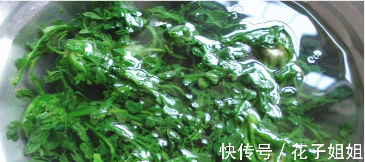 入秋后,碰见这菜别手软,一次性买15斤,放冰箱冻起来,特别省事!