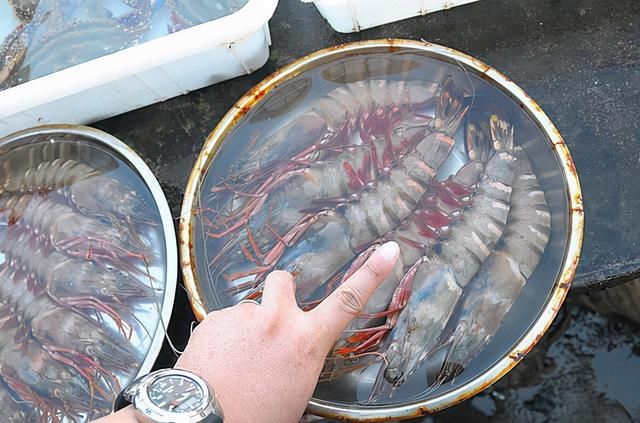 海鲜|含“寄生虫”最多的2种海鲜，没营养还贵，老板自己都不吃