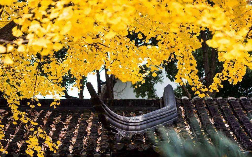 终于|历史上,“八拜之交”指的是什么呢?看完终于明白了!