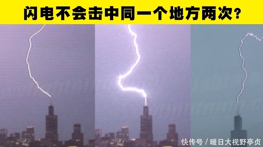 红色并没有办法刺激公牛!一直以来你可能错误相信着的5个小知识