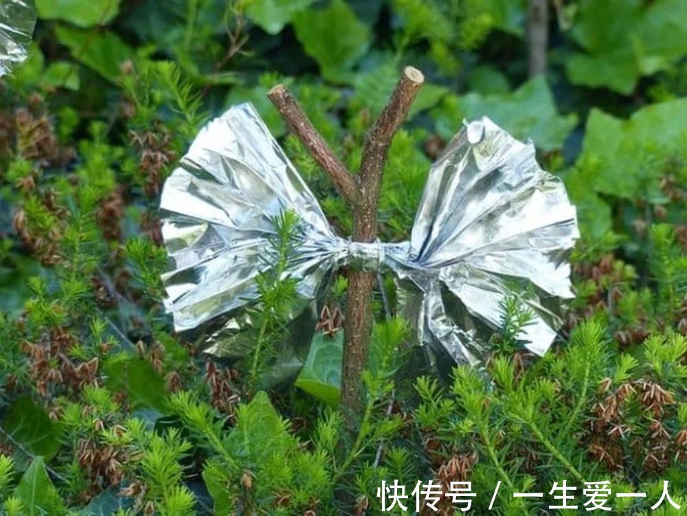 小小铝箔纸在户外竟有如此妙用
