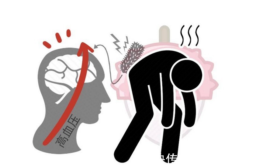 心脑血管|血管老化,背后有因!6个因素要能避开,血管不会受伤