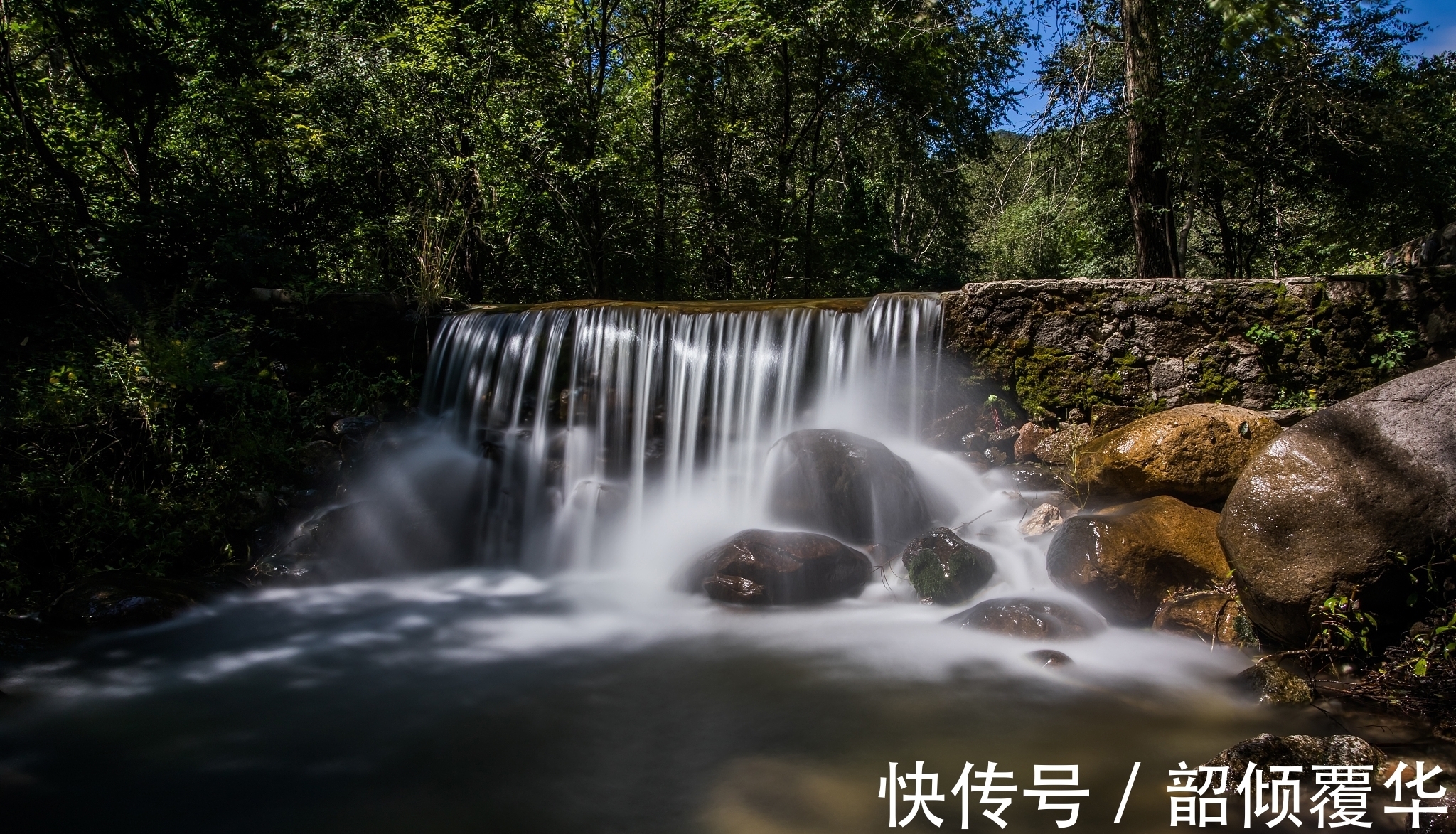 诗人#宋诗精华五首，其中一首是王安石的送别佳作，值得一读